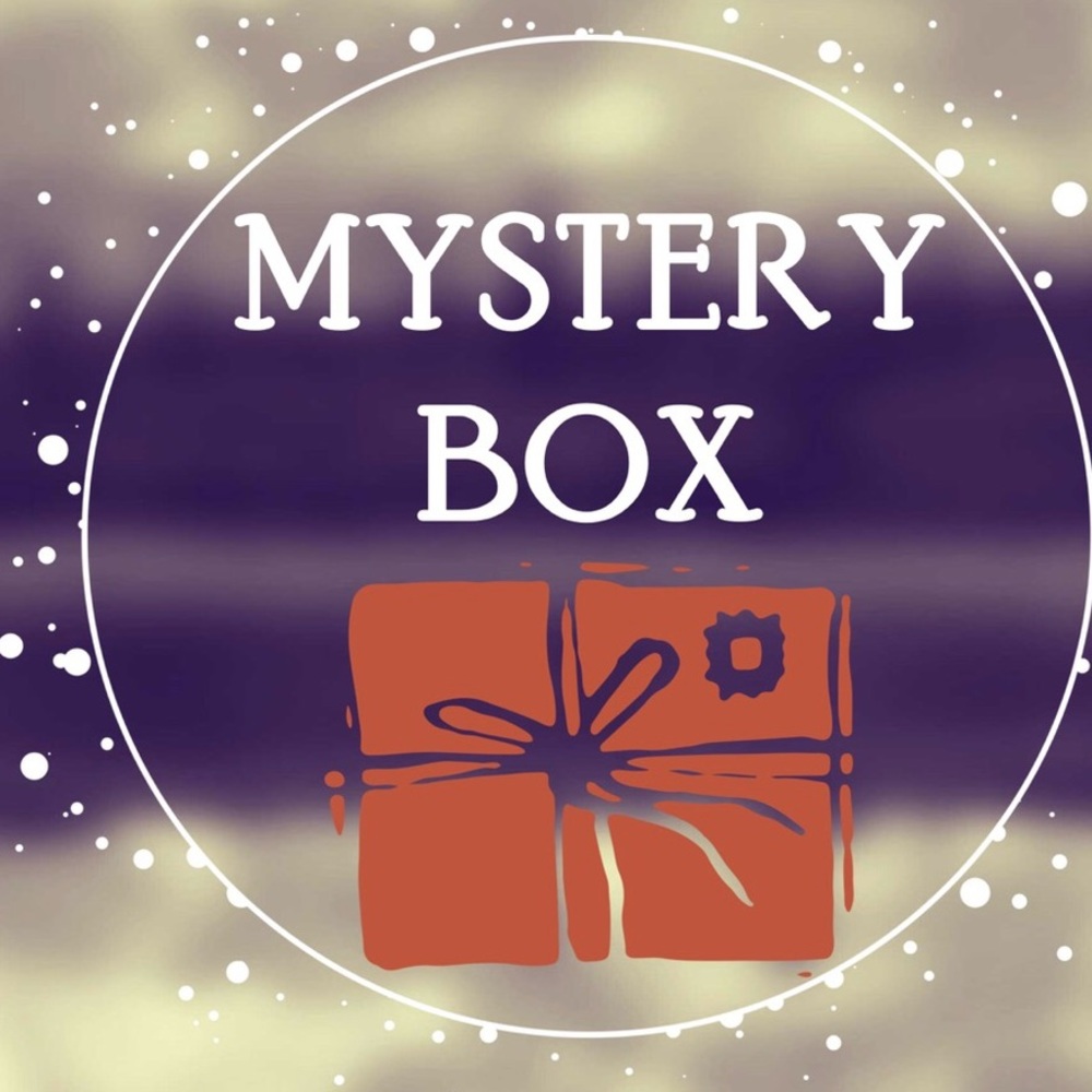 Plus Size Mystery Box 📦 - Picture 2 of 2